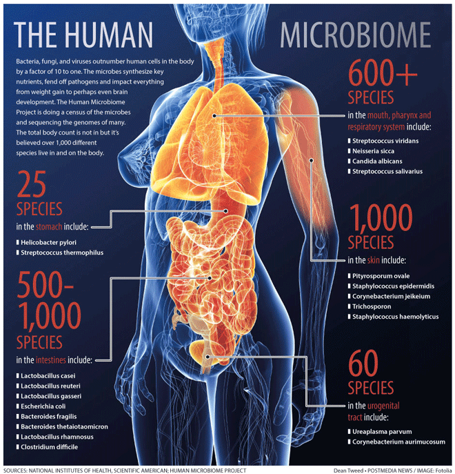 How your microbiome determines your health